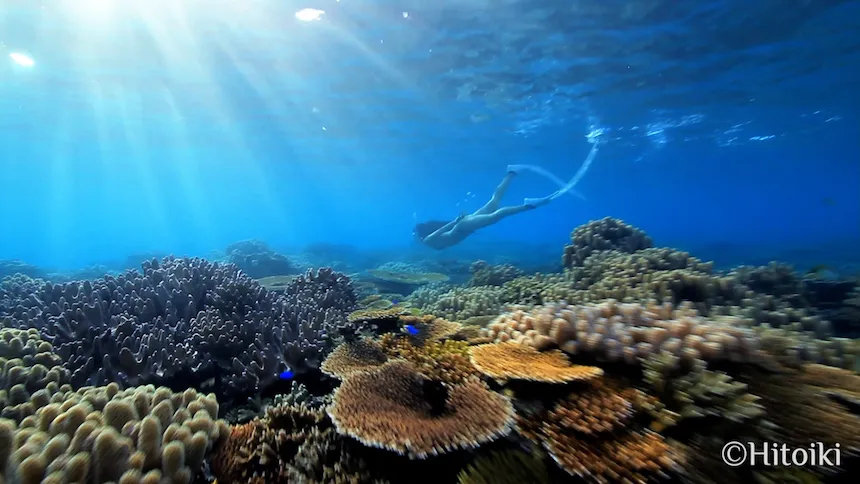 Okinawa, Japan