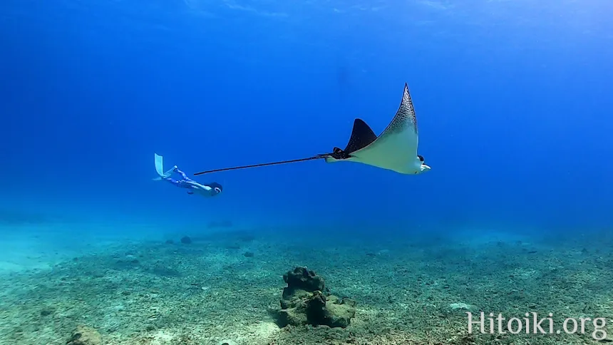 Okinawa, Japan