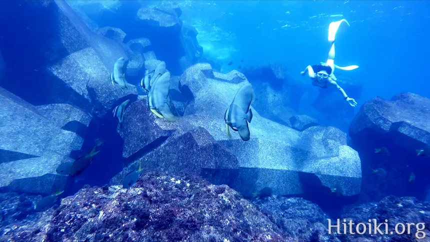 八丈島底土海水浴場のテトラ