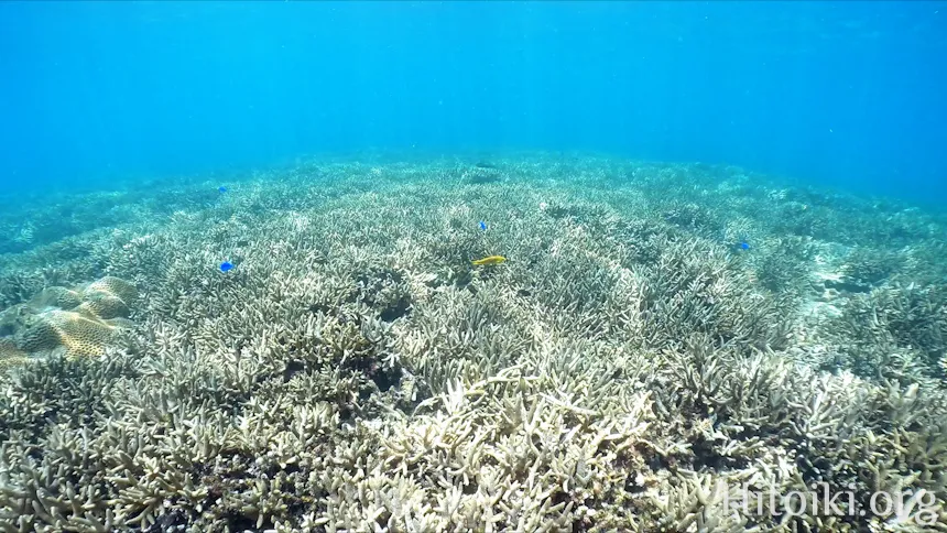 古宇利島トケイ浜ティーヌ浜ハートロック