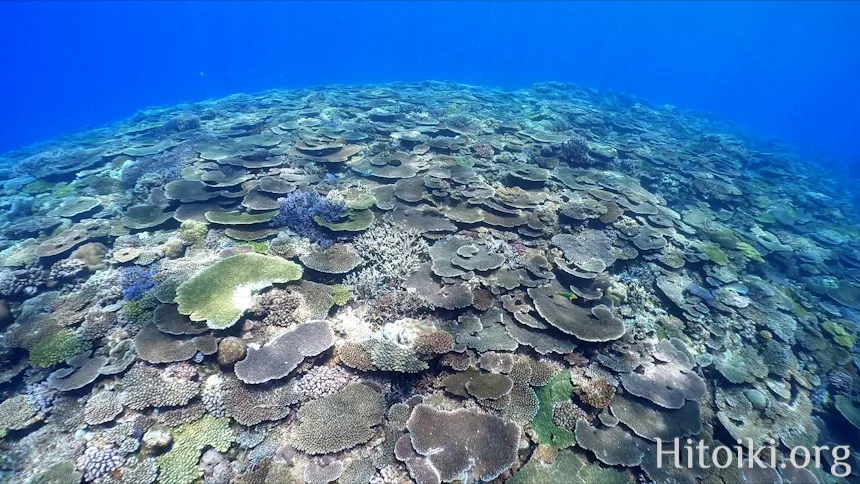 古宇利島トケイ浜ティーヌ浜ハートロック