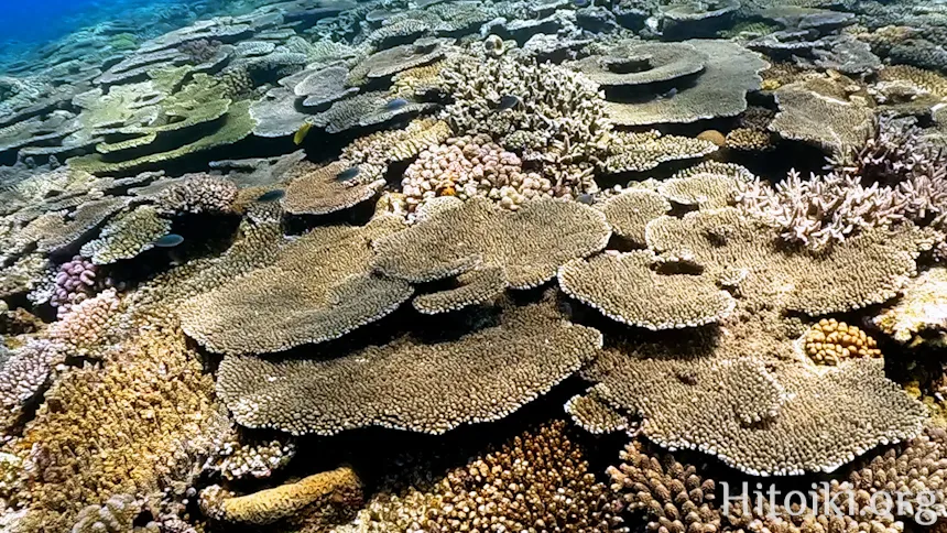 古宇利島トケイ浜ティーヌ浜ハートロック