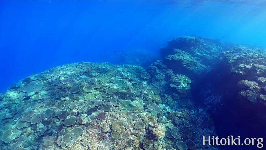 シュノーケリングができるキャンプ場「アダンビーチ」