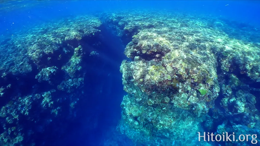 シュノーケリングができるキャンプ場「アダンビーチ」