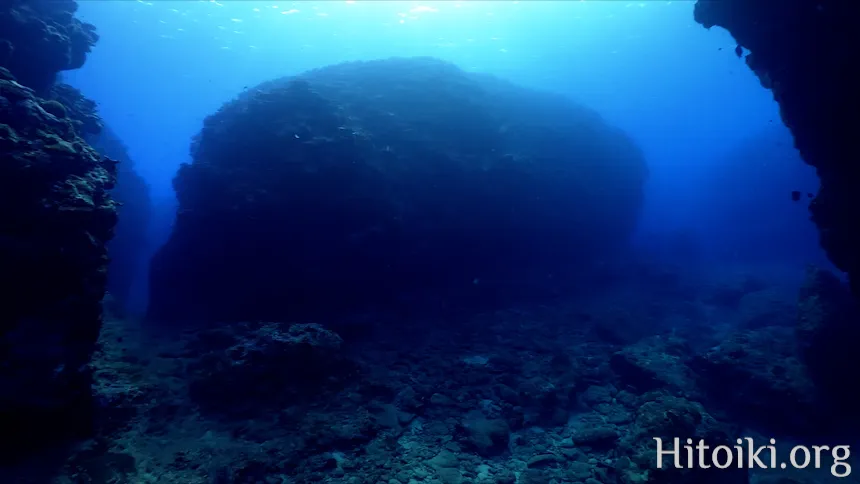 シュノーケリングができるキャンプ場「アダンビーチ」