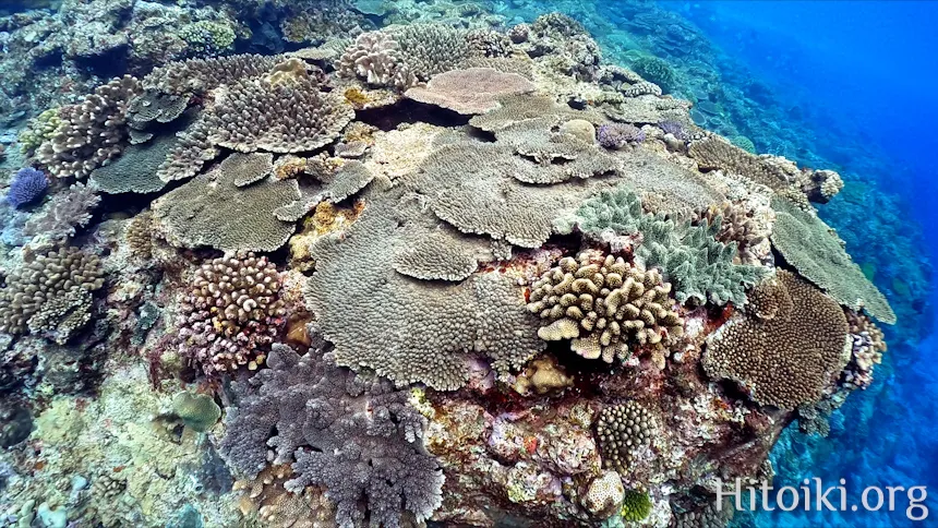 荒崎海岸