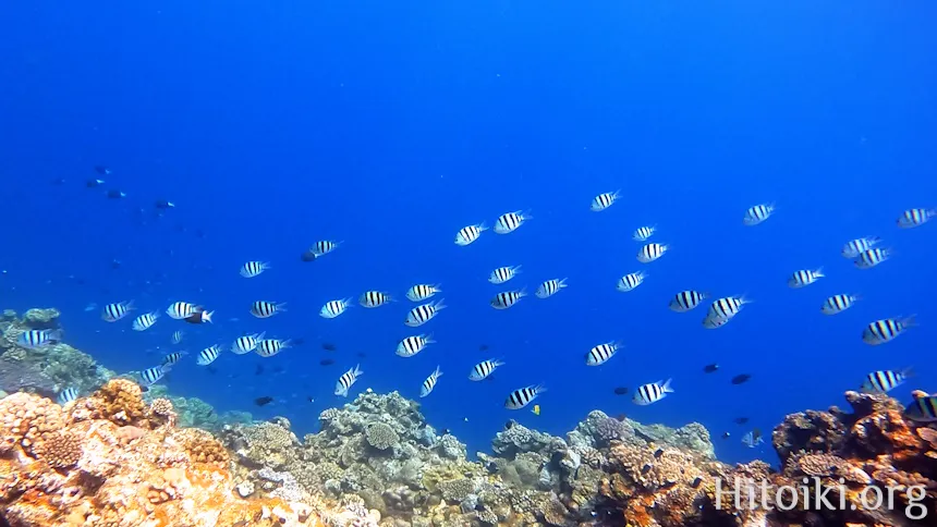 荒崎海岸