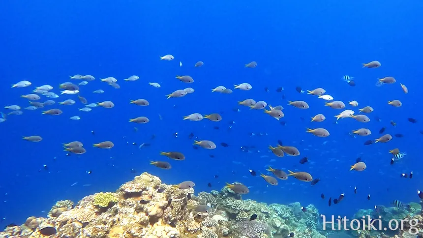 荒崎海岸