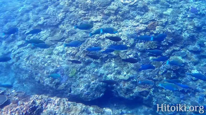 荒崎海岸