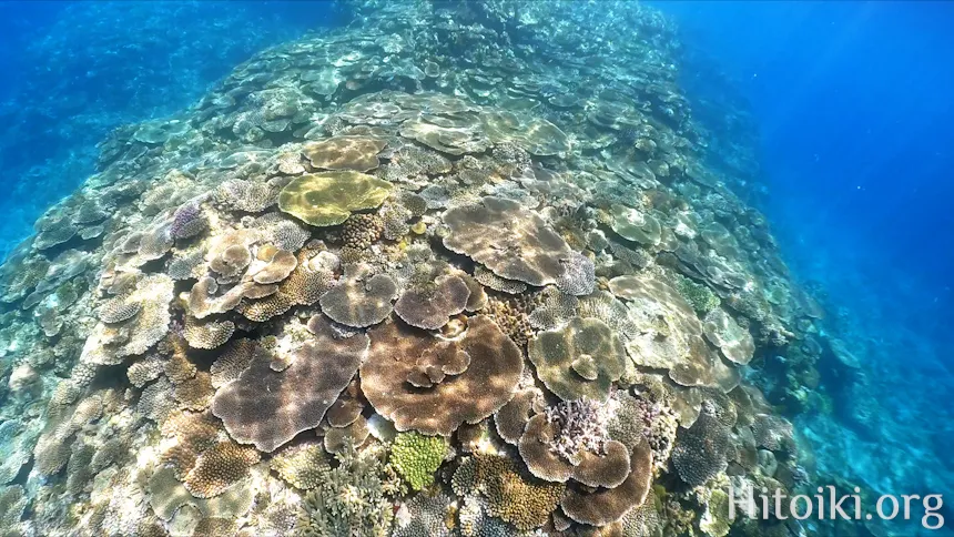 備瀬崎海岸