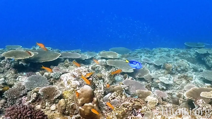 備瀬崎海岸