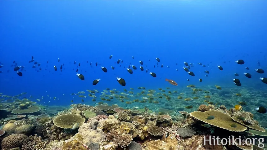 備瀬崎海岸