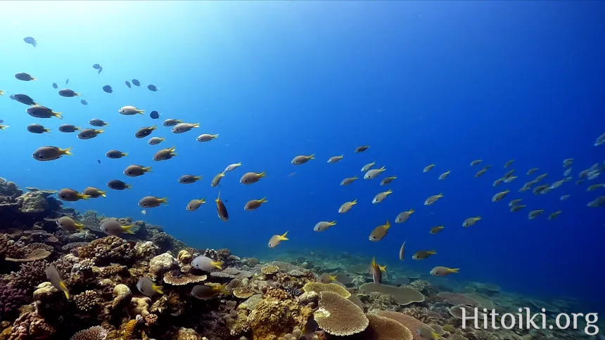 備瀬崎海岸