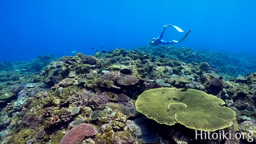 備瀬崎海岸