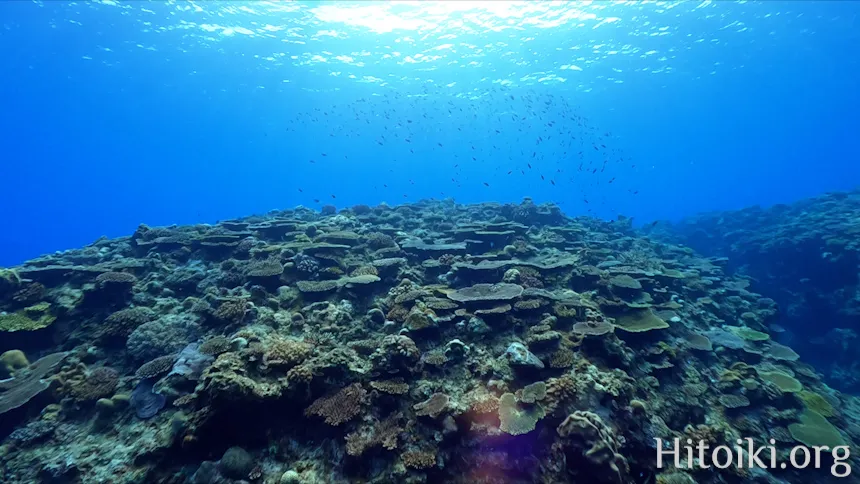 備瀬崎海岸