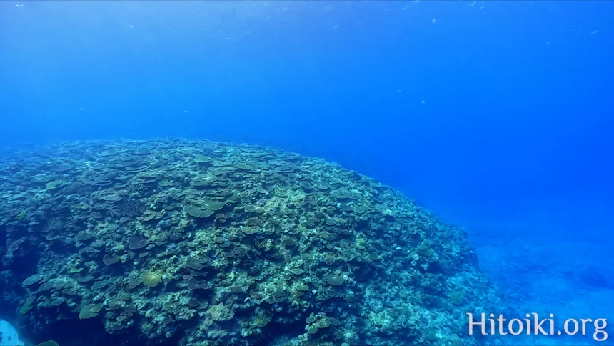 備瀬崎海岸