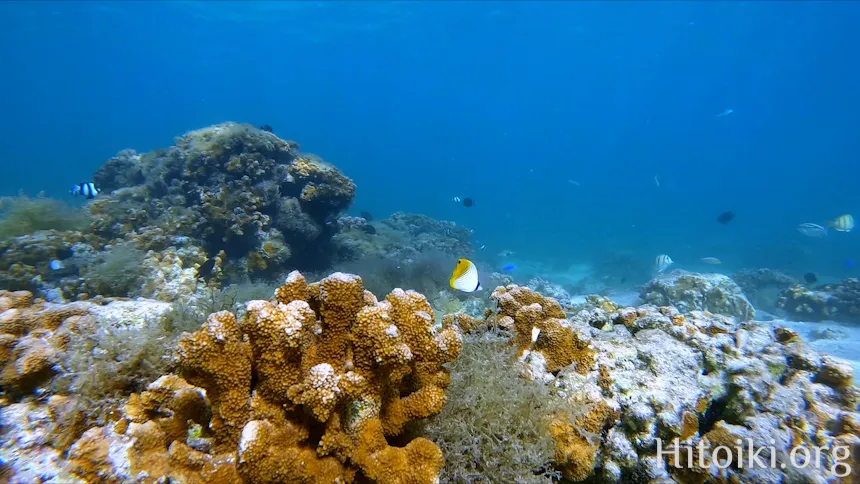 備瀬崎海岸