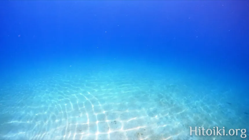 部瀬名岬（ブセナ）