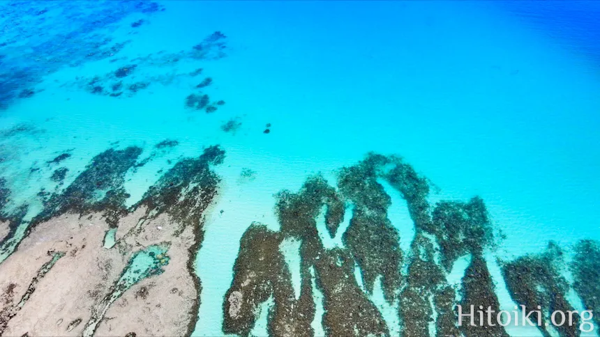 知念岬