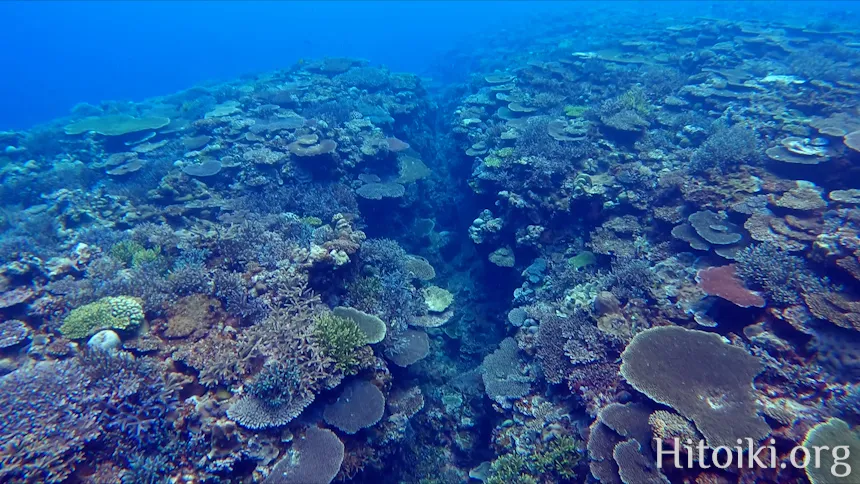 沖縄本島のシュノーケリングスポット宜名真
