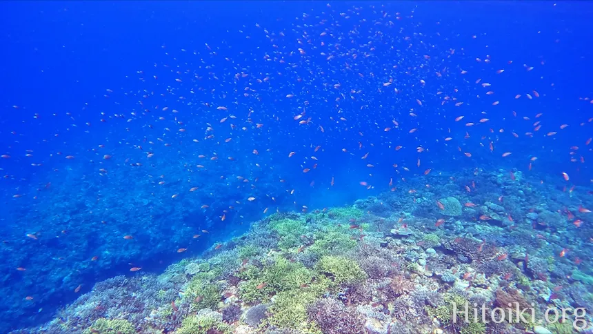 沖縄本島のシュノーケリングスポット宜名真