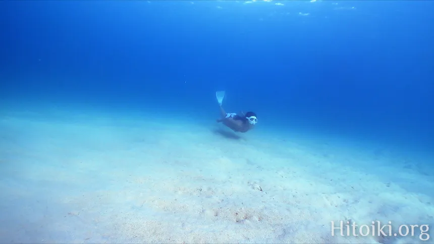 辺土名海岸の砂地