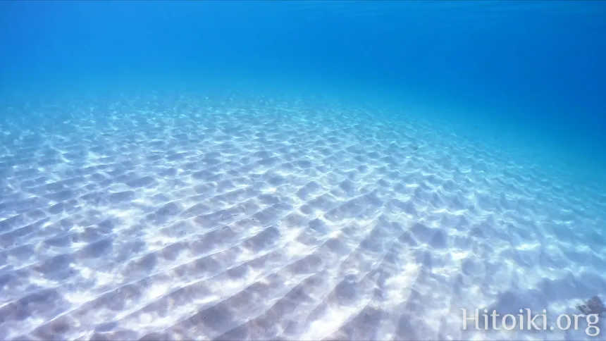 辺土名海岸の砂地