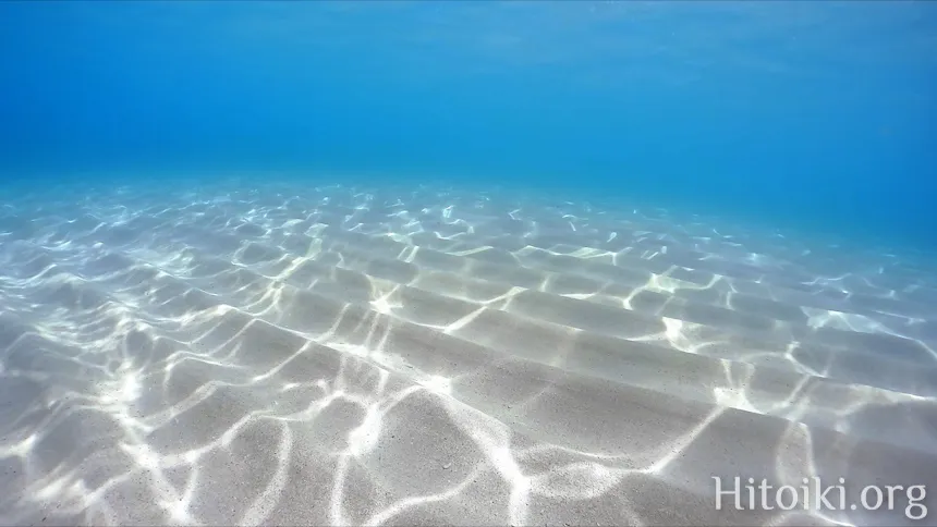 辺土名海岸の砂地
