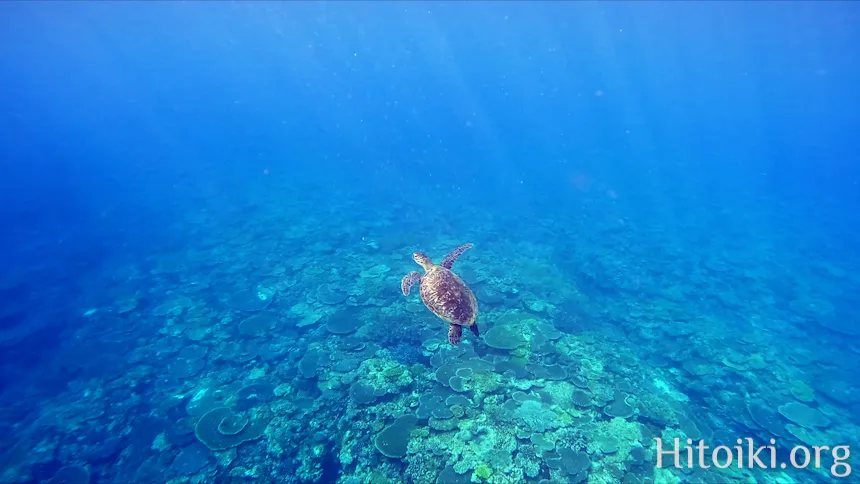 長浜ビーチ
