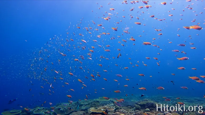長浜ビーチ