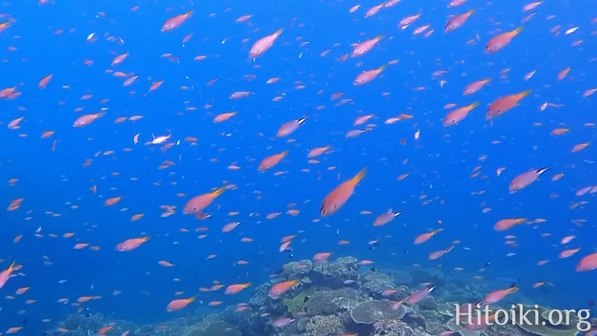 長浜ビーチ