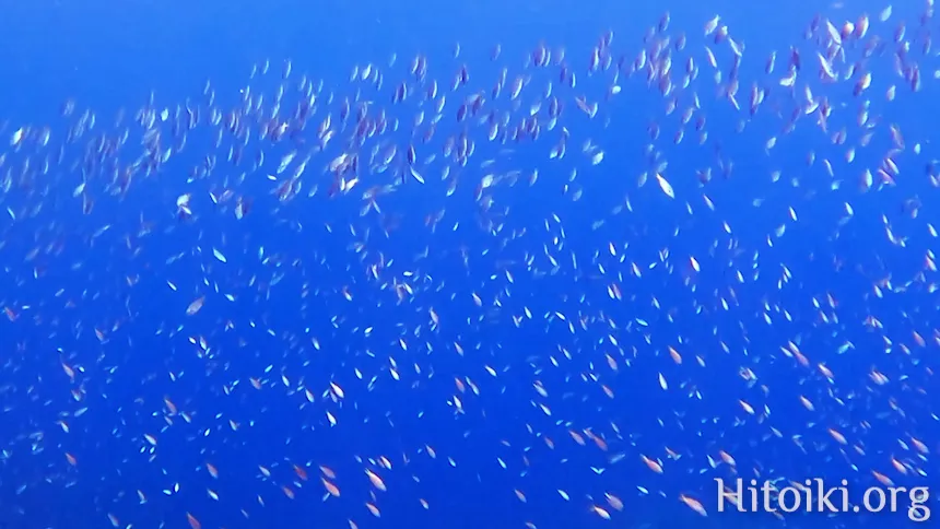 長浜ビーチ
