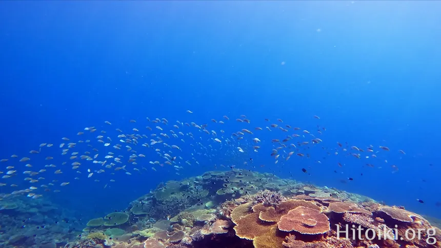 長浜ビーチ