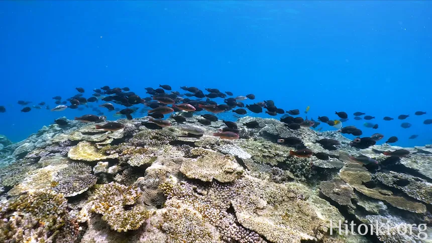 長浜ビーチ
