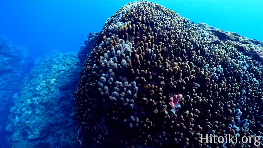 ながはま海岸