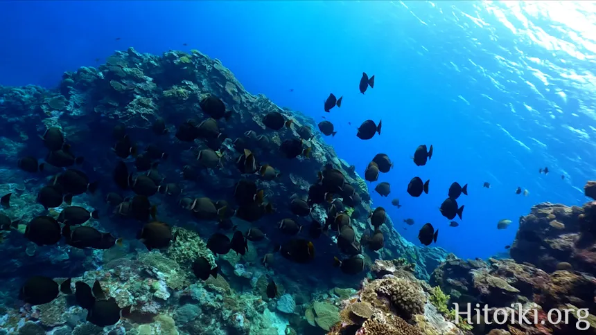 ながはま海岸