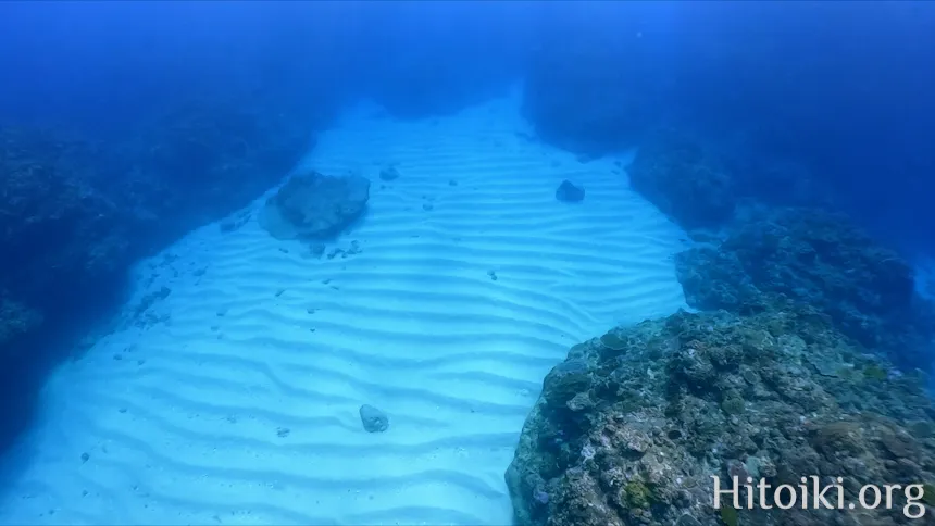 ながはま海岸