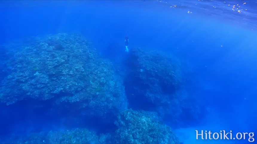 ながはま海岸