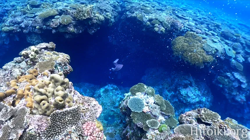 ながはま海岸