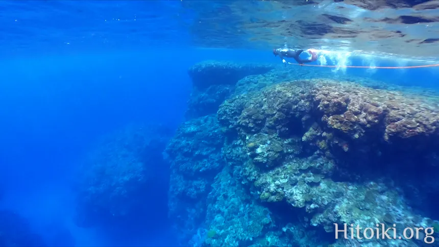 ながはま海岸