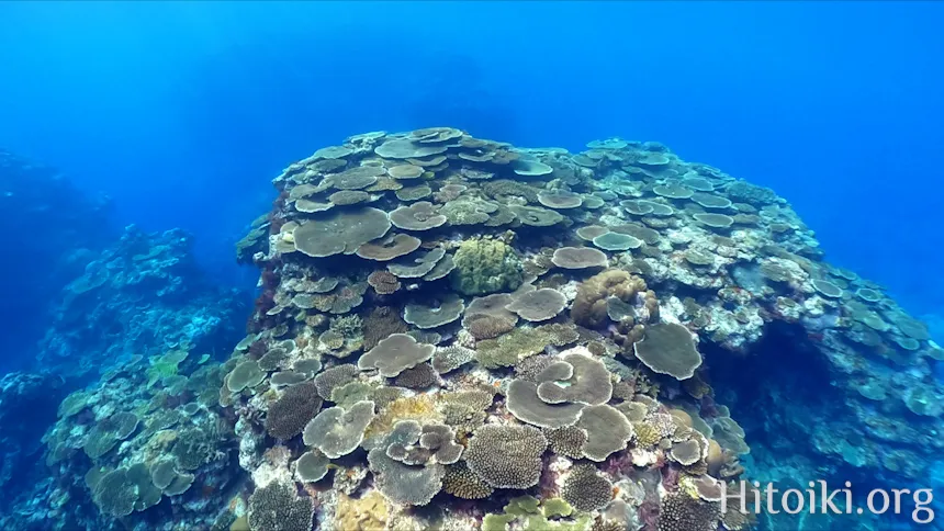 ながはま海岸