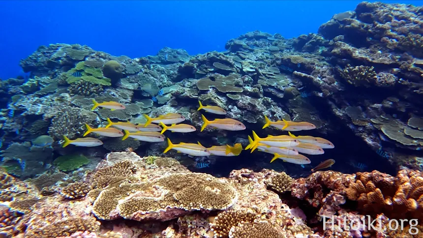 ながはま海岸