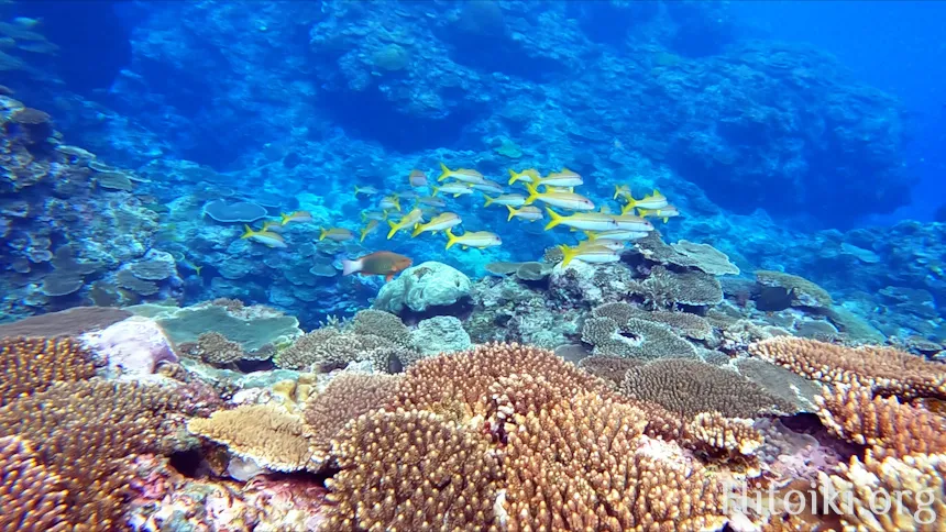 ながはま海岸