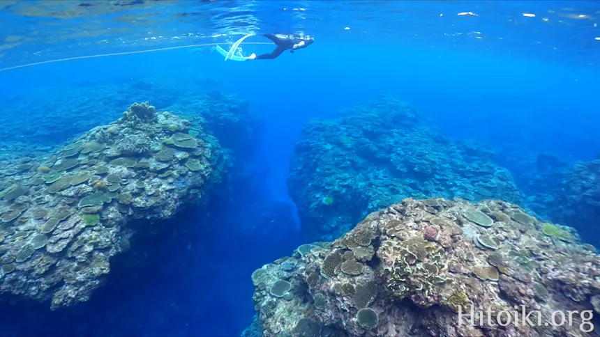 ながはま海岸