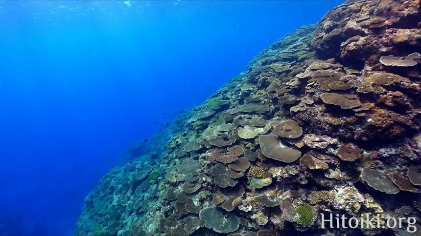 ながはま海岸