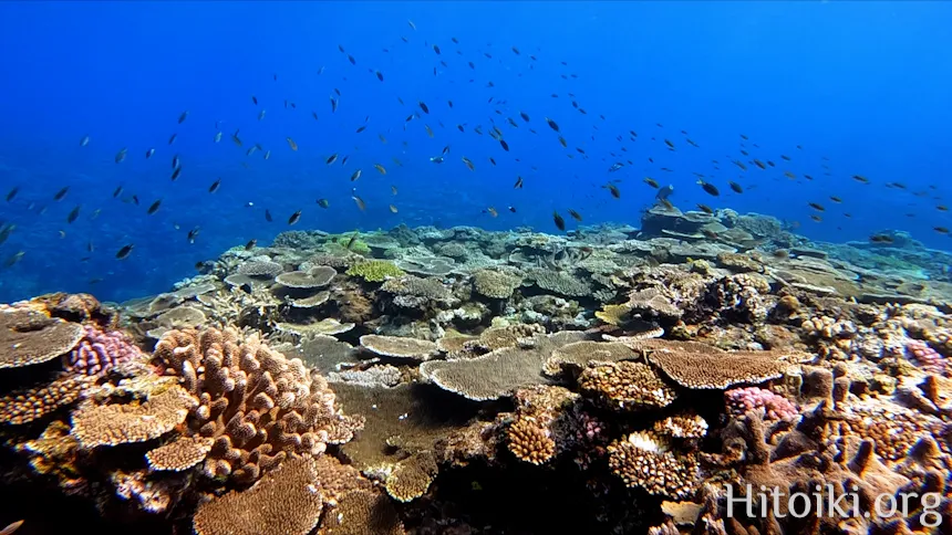 ながはま海岸