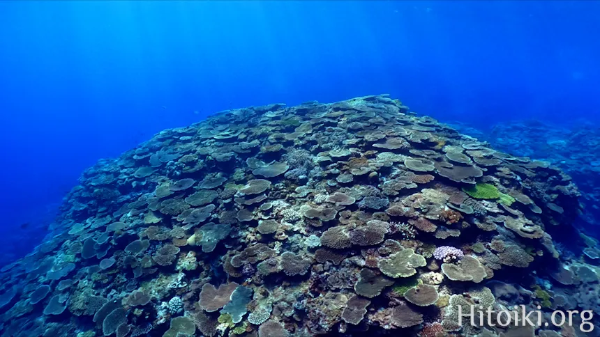 ながはま海岸