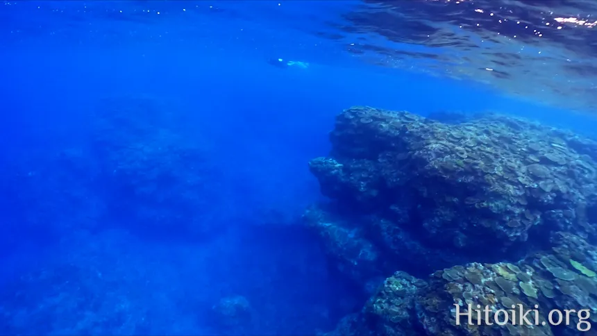 ながはま海岸