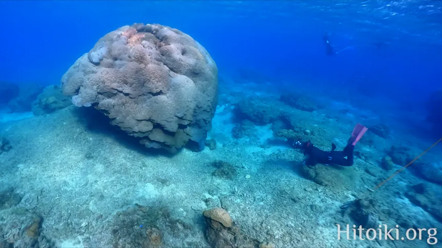 ながはま海岸