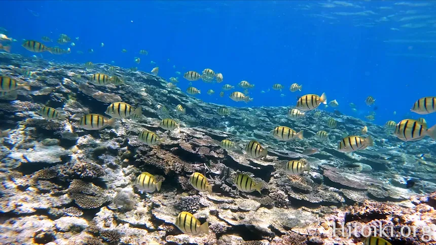 崎山ウサバマビーチ